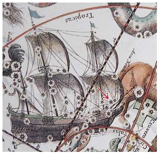 etacarinae1660