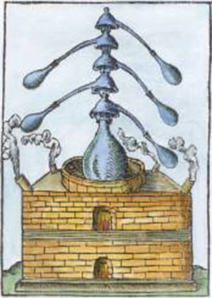 coelum